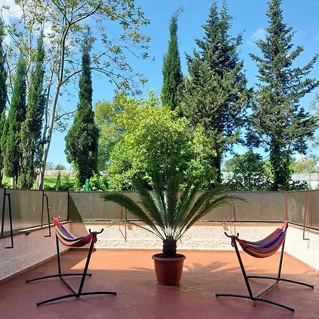 Aurelia Antica Terrace Free Pool And Parking Apartment *